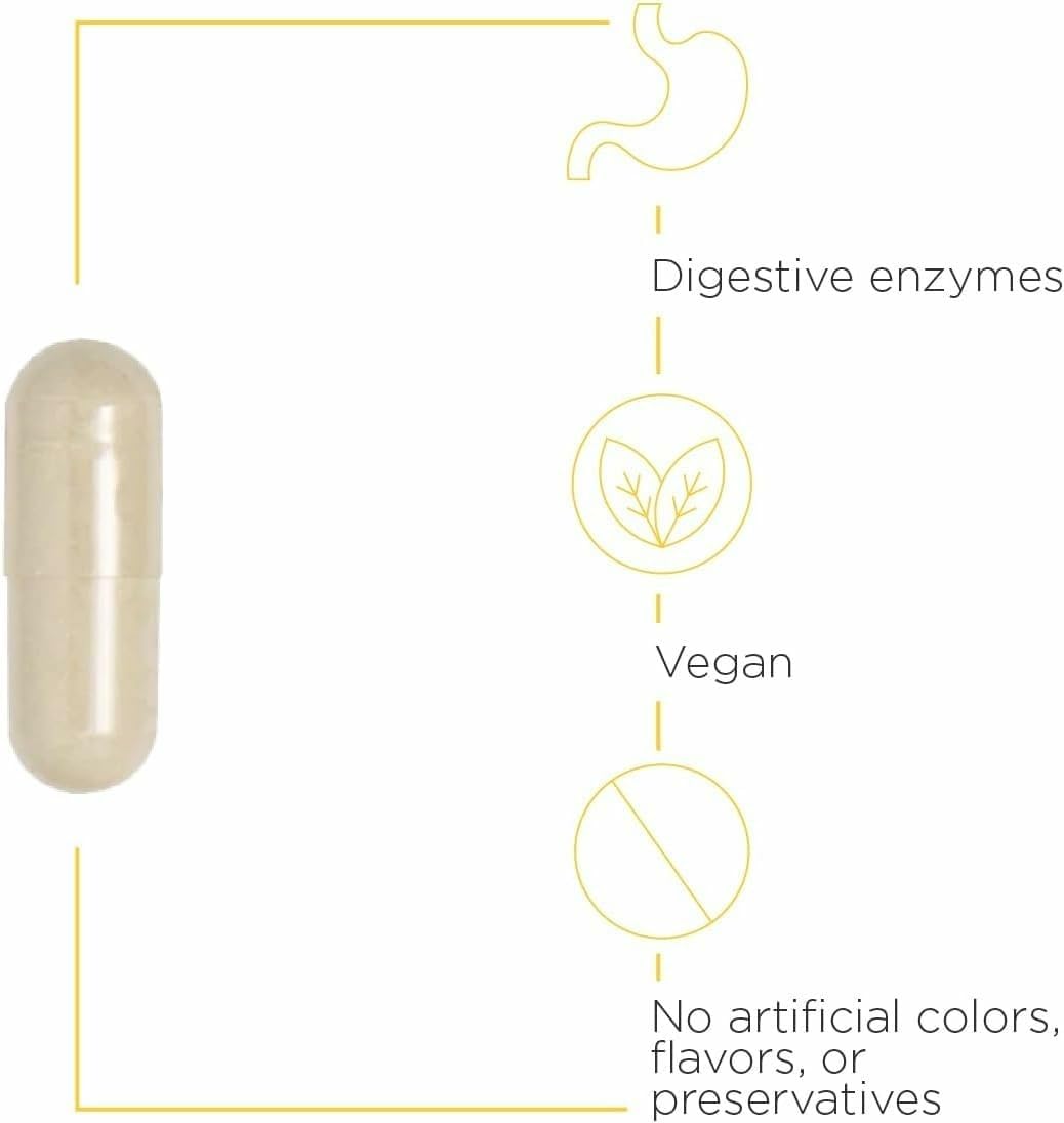 Digestive Enzyme Supplement, 90 Count K437