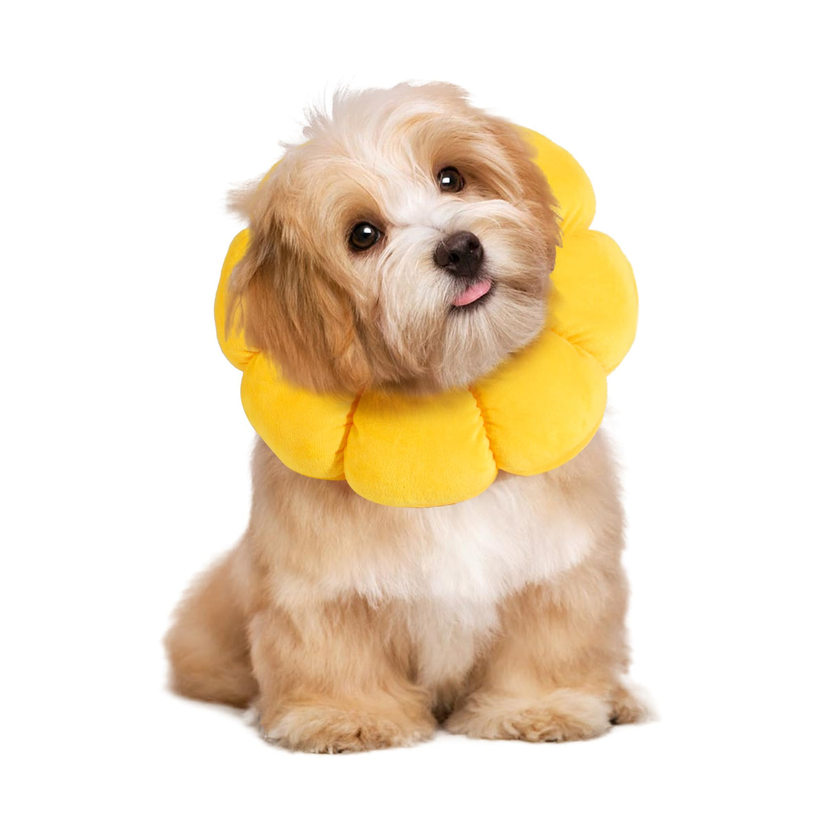 Soft Dog Cone for Dogs and Cats, Adjustable Dog Collar Alternative E742282
