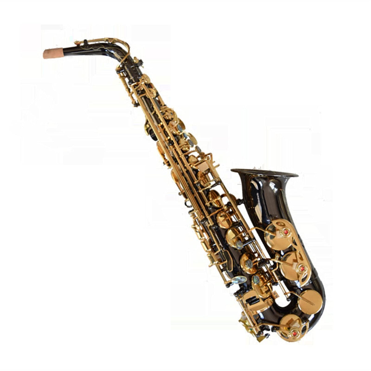 Black Nickel E Flat Alto Saxophone Set D441280