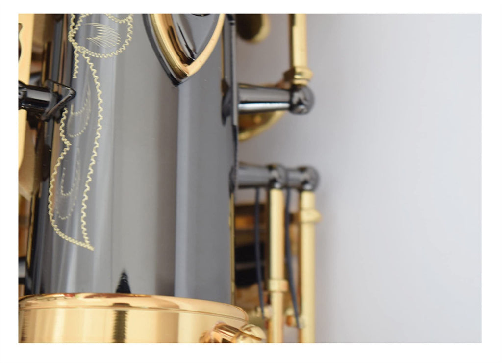 Black Nickel E Flat Alto Saxophone Set D441280