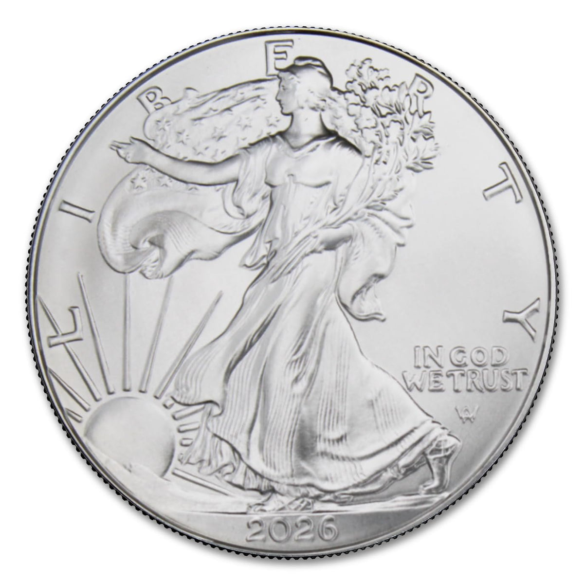1 oz American Silver Eagle Coin Brilliant Uncirculated Z2330