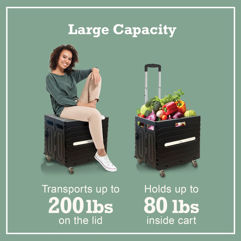 Collapsible Folding Utility Cart with 360° Wheels, Black N71736