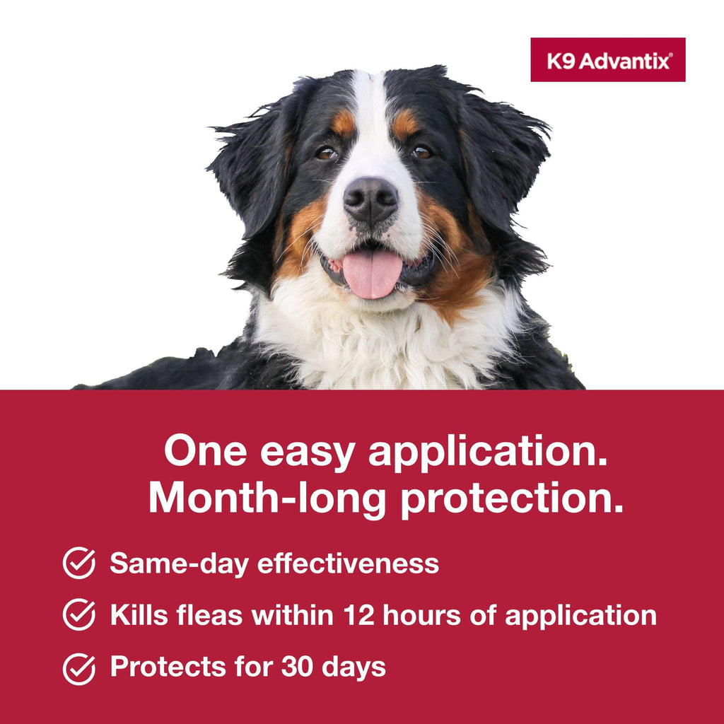 Flea, Tick & Mosquito Prevention for Dogs Over 55 lbs, 2 Treatments A7055