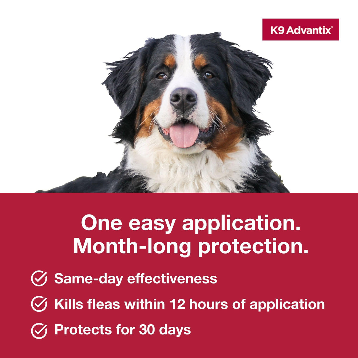 Flea, Tick & Mosquito Prevention for Dogs Over 55 lbs, 2 Treatments A7055