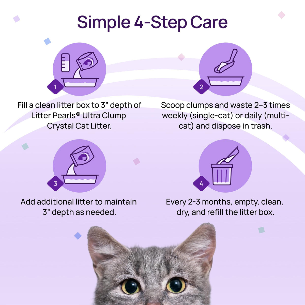 Unscented Crystal Clumping Cat Litter 8lb T6373