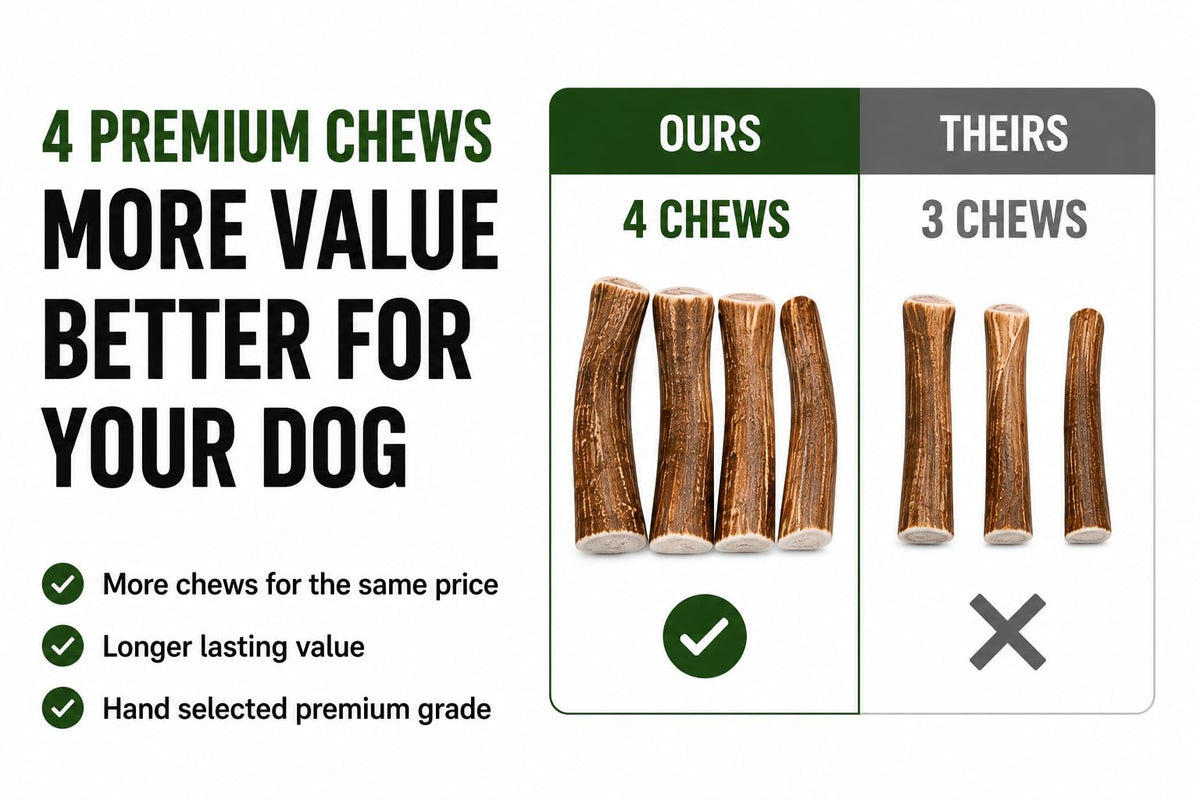 Deer Antler Dog Chews One Pound F64411