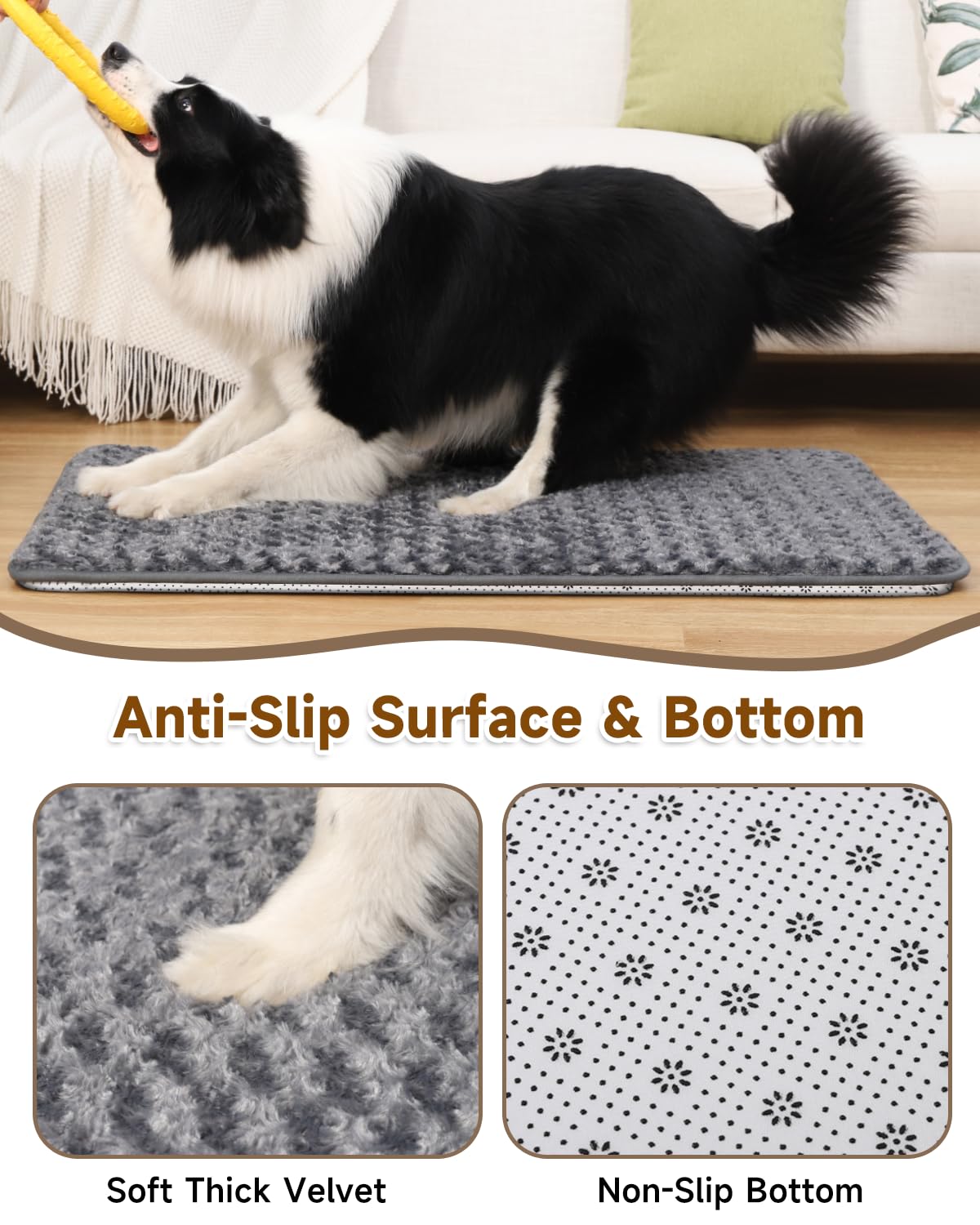 Dark Grey Foam Dog Bed 35x22 I2766