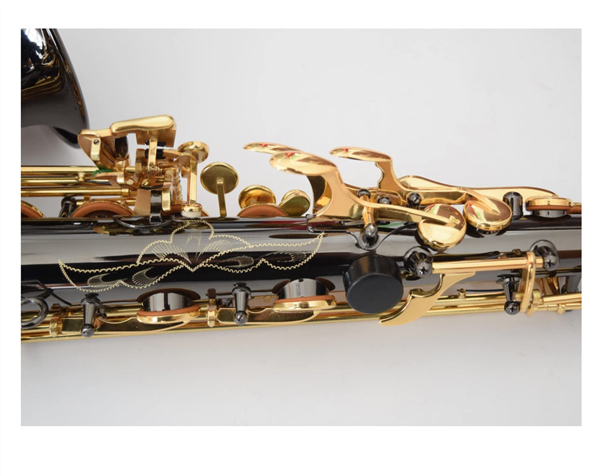 Black Nickel E Flat Alto Saxophone Set D441280