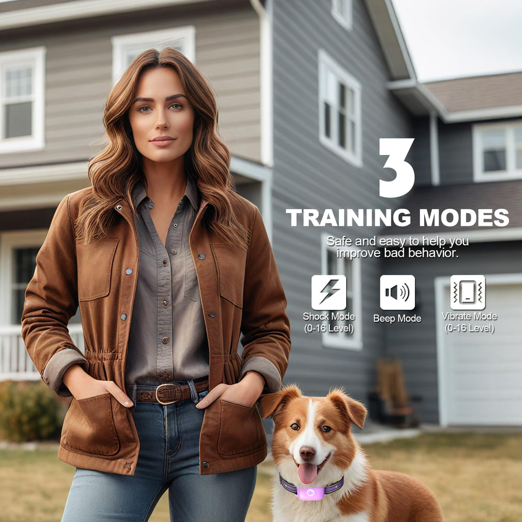 Dog Training Collar with Remote Purple I691