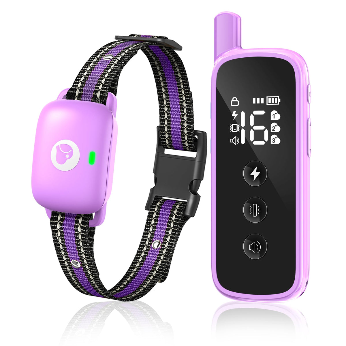 Dog Training Collar with Remote Purple I691