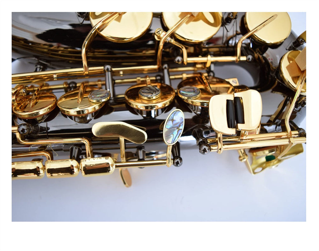 Black Nickel E Flat Alto Saxophone Set D441280