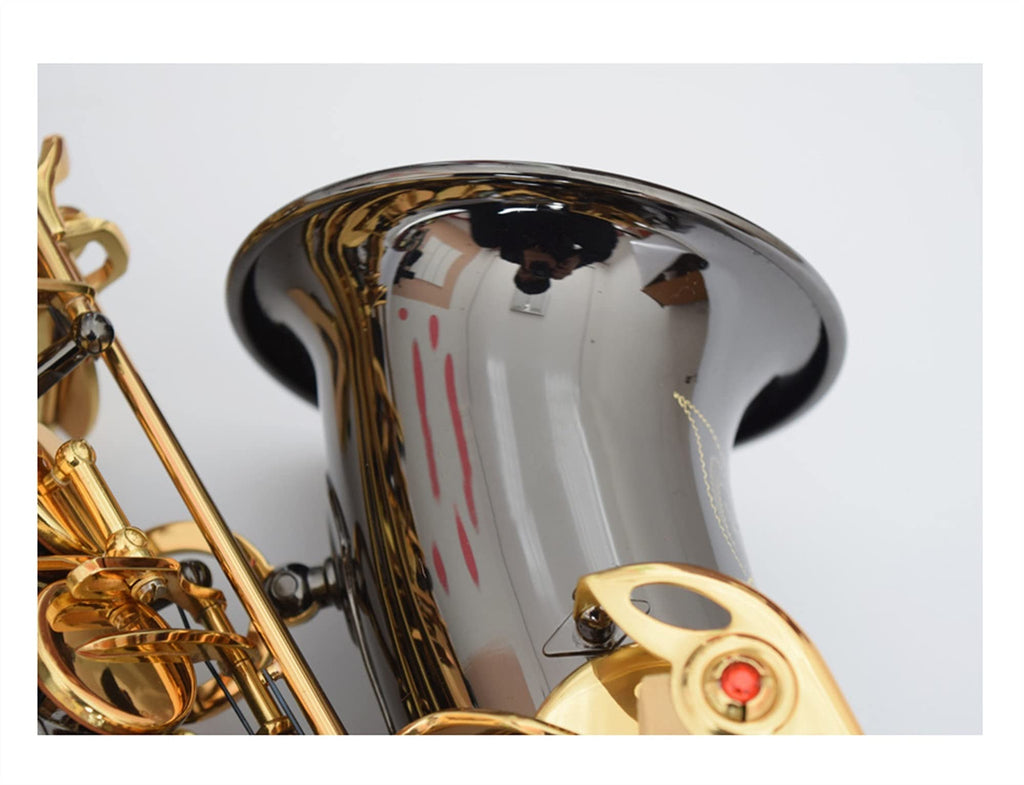 Black Nickel E Flat Alto Saxophone Set D441280