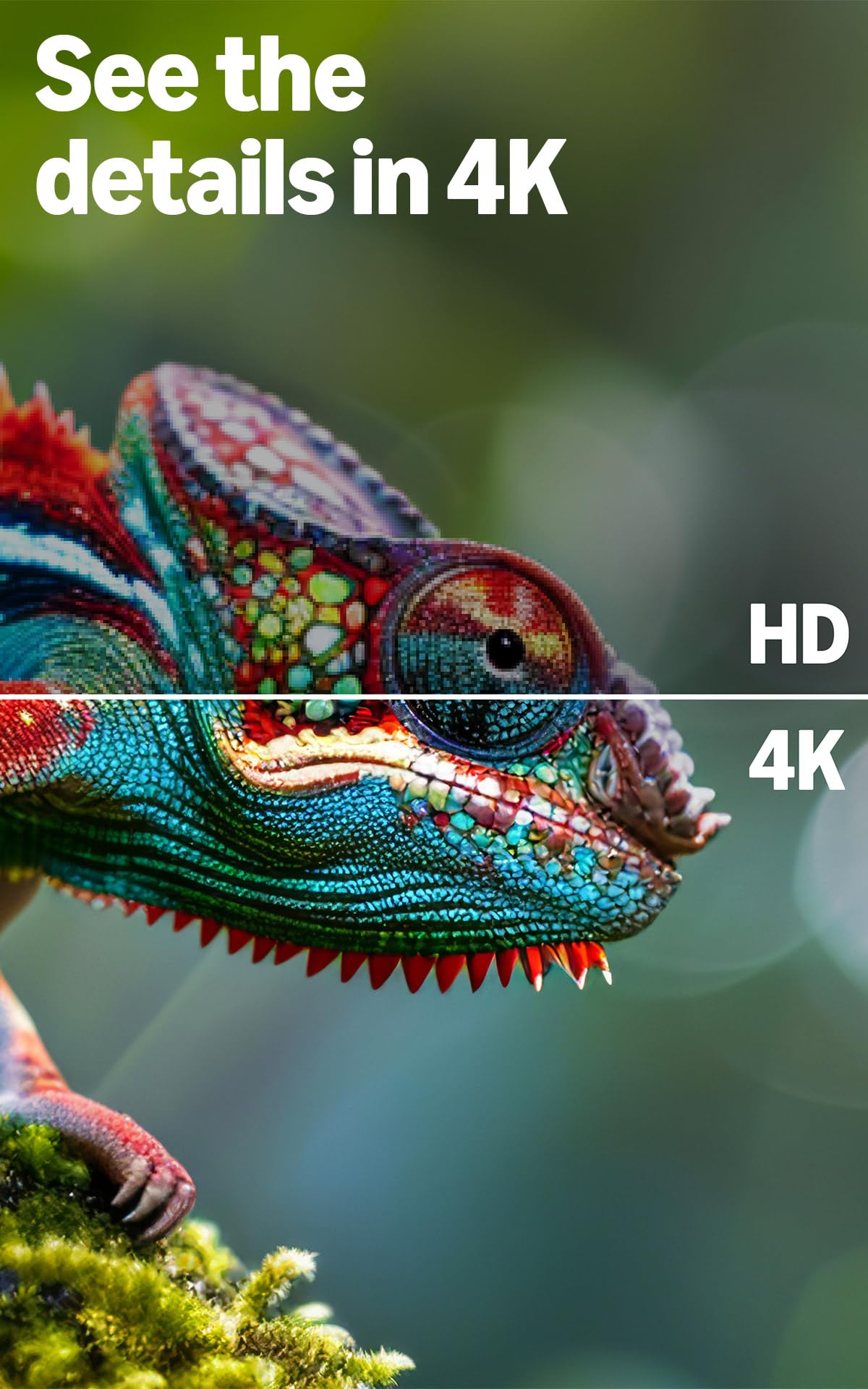 43" 4K Ultra HD Smart TV with Alexa Remote F609