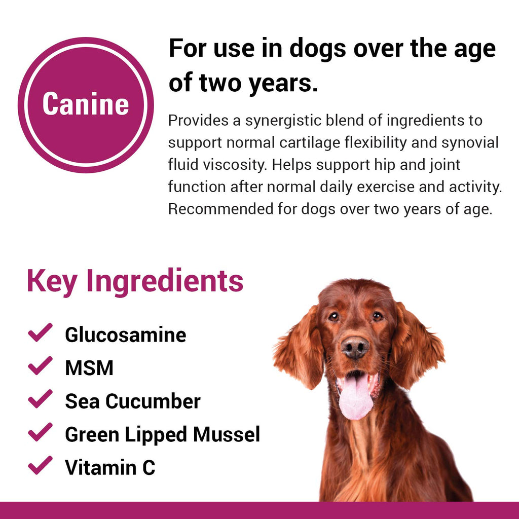 120 Soft Chews Dog Joint Support Supplement G561627