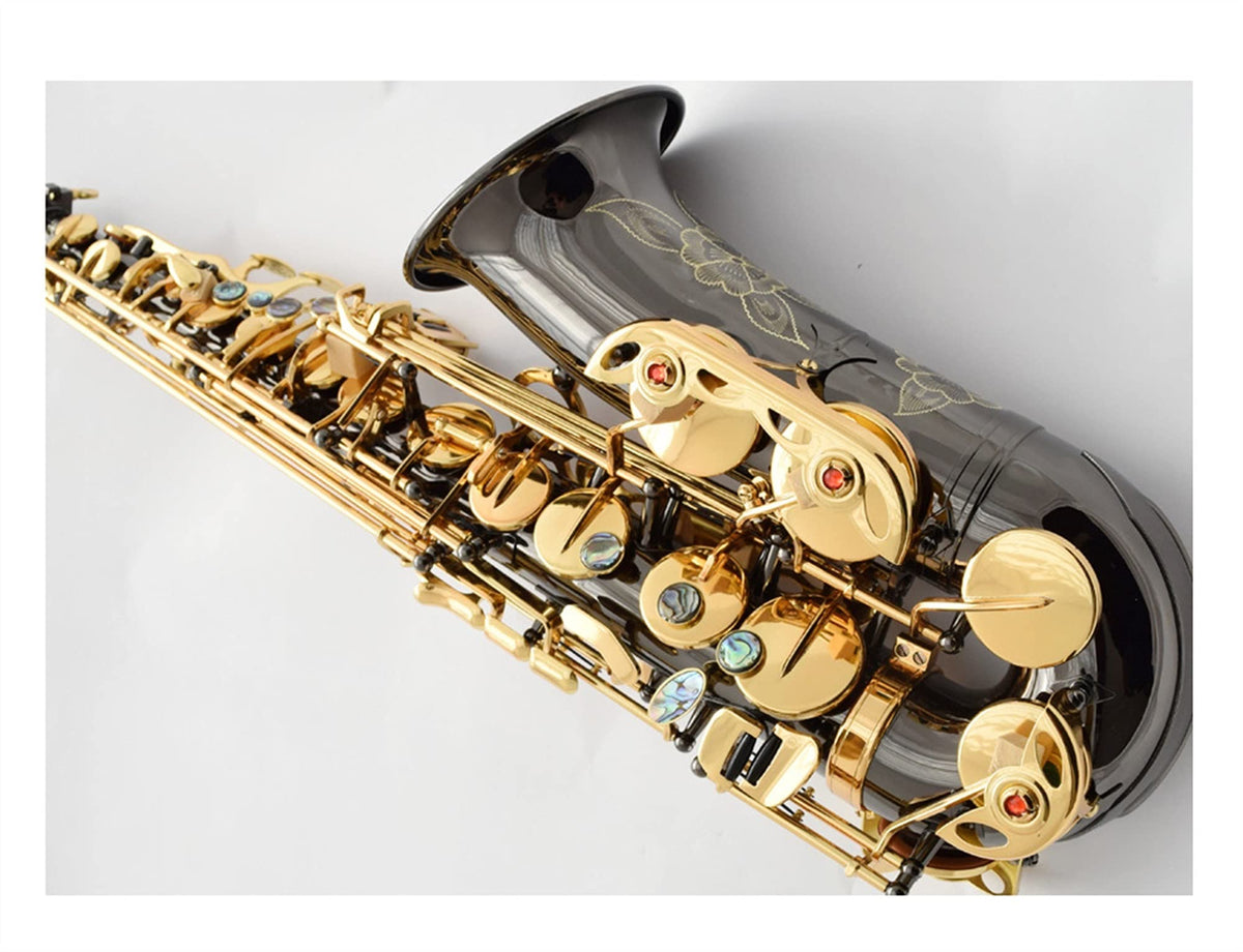 Black Nickel E Flat Alto Saxophone Set D441280