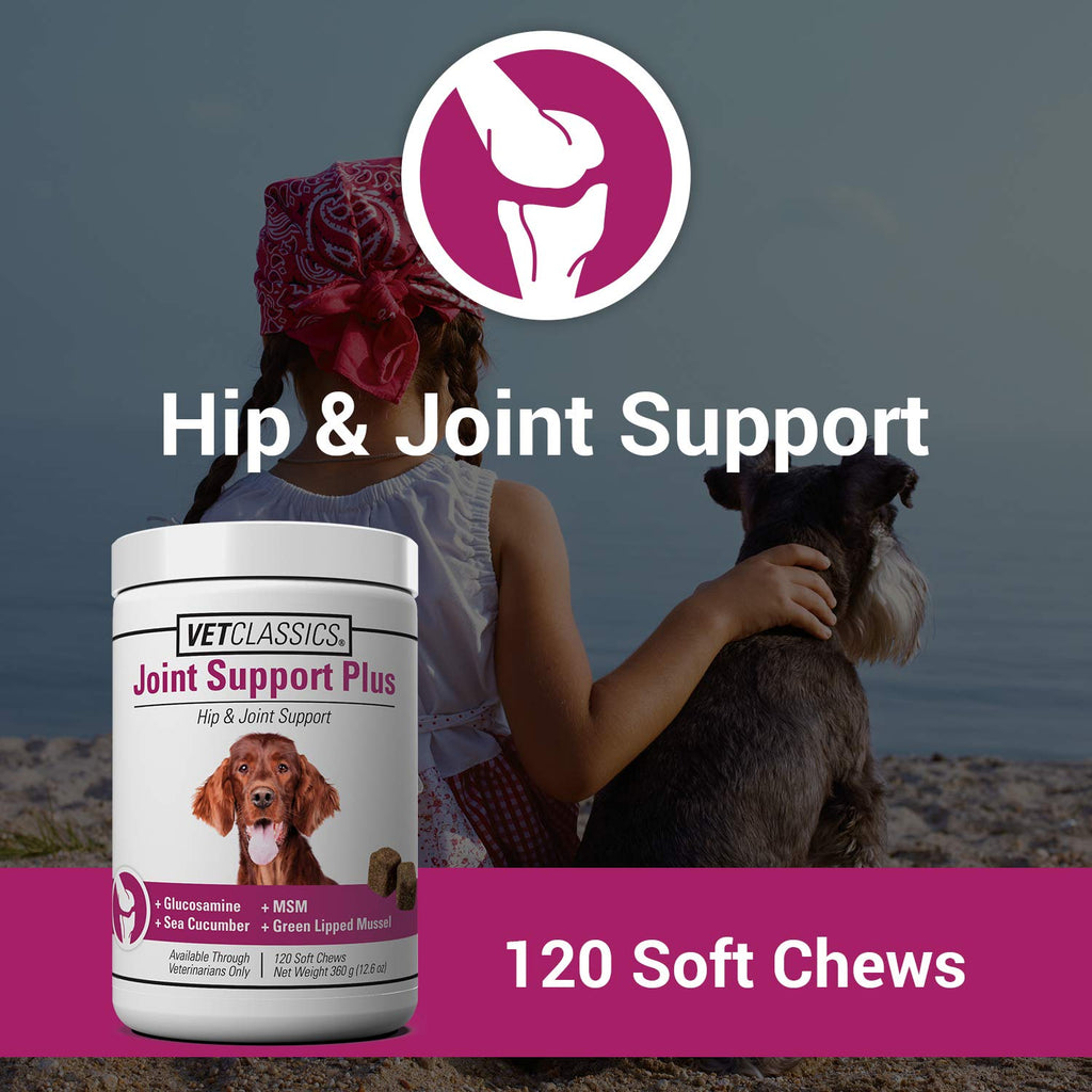 120 Soft Chews Dog Joint Support Supplement G561627