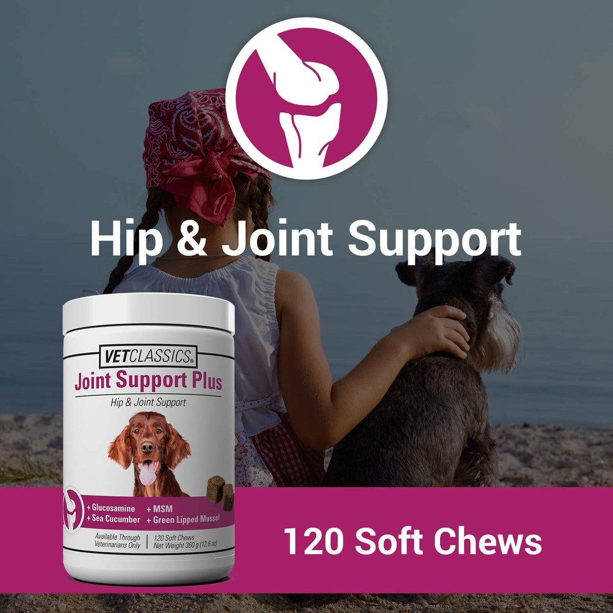 120 Soft Chews Dog Joint Support Supplement G561627