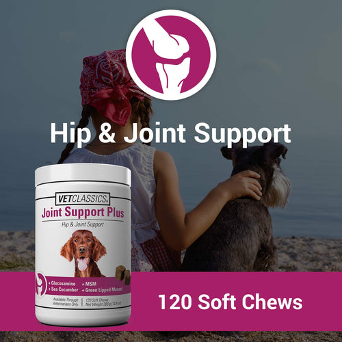 120 Soft Chews Dog Joint Support Supplement G561627
