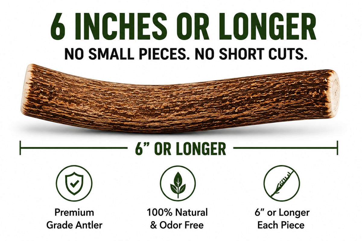Deer Antler Dog Chews One Pound F64411