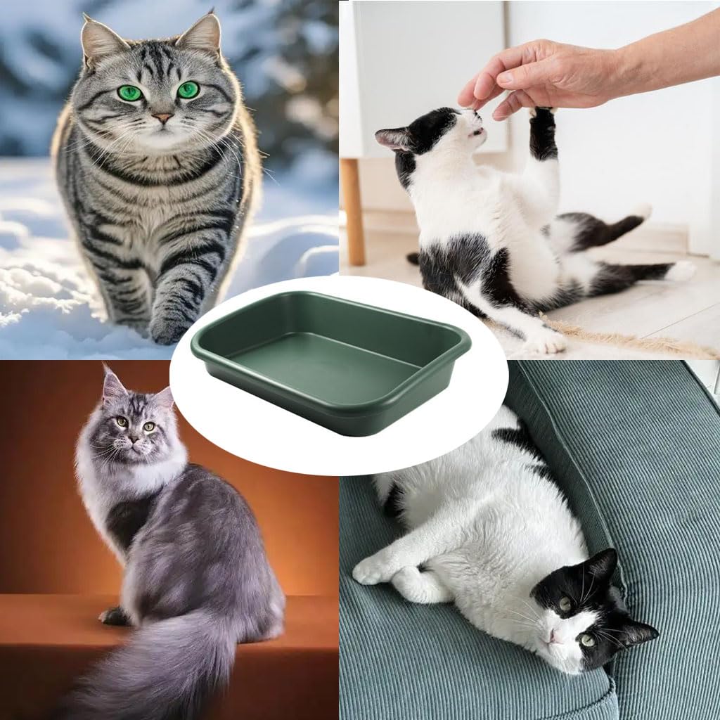 Extra Large High Sides Low Entry ABS Litter Box R68578
