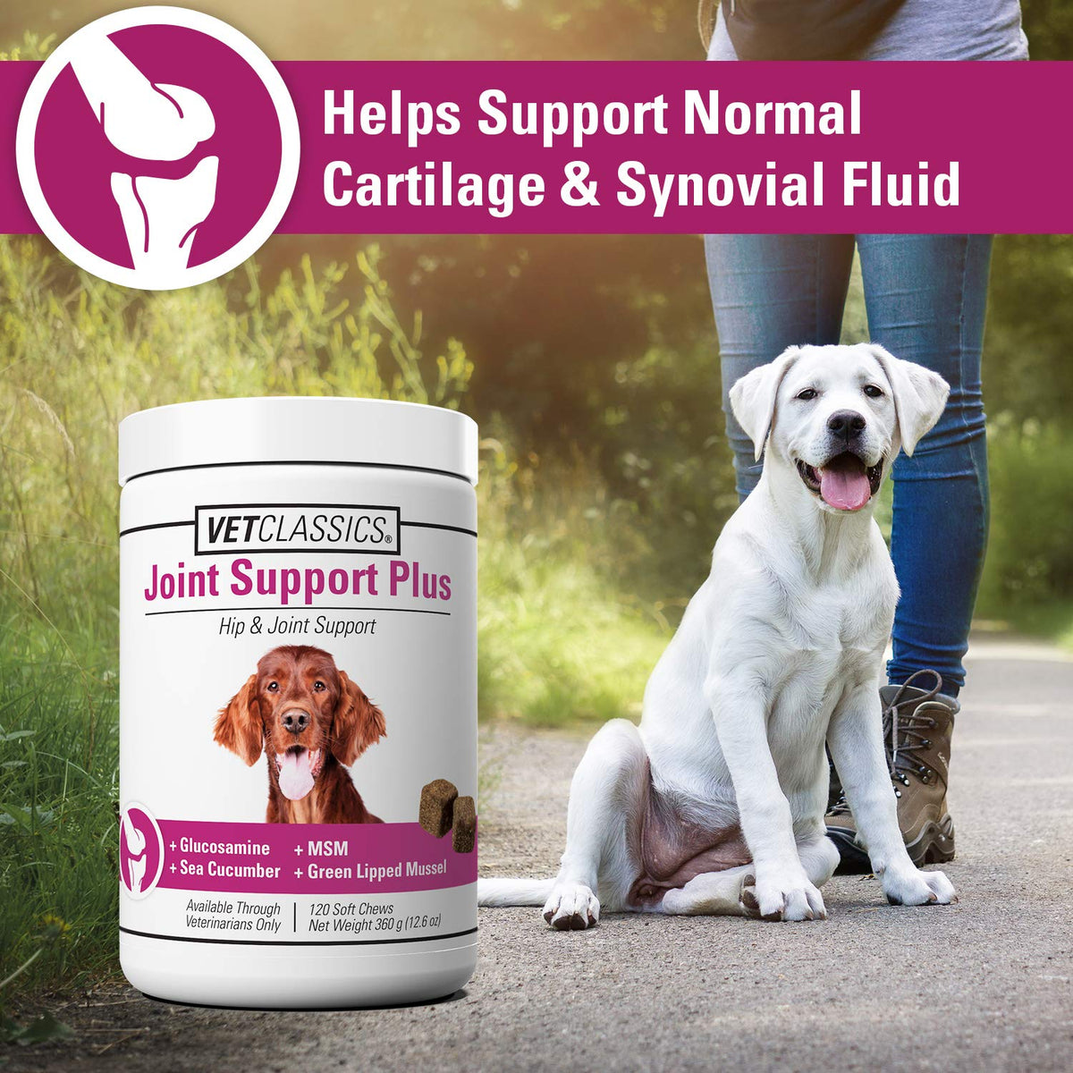 120 Soft Chews Dog Joint Support Supplement G561627