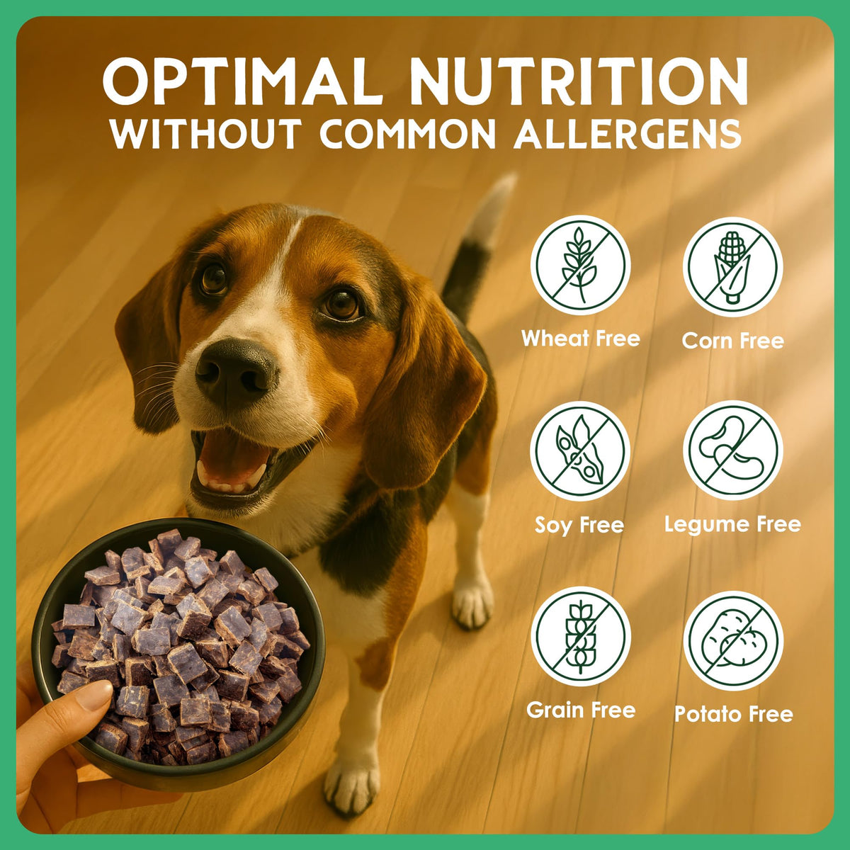 Air-Dried Grain-Free Beef Dog Food O2388