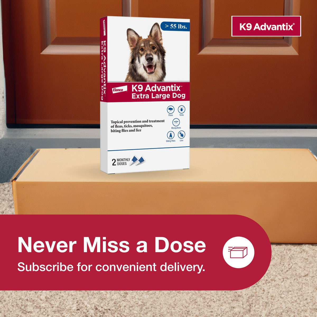 Flea, Tick & Mosquito Prevention for Dogs Over 55 lbs, 2 Treatments A7055