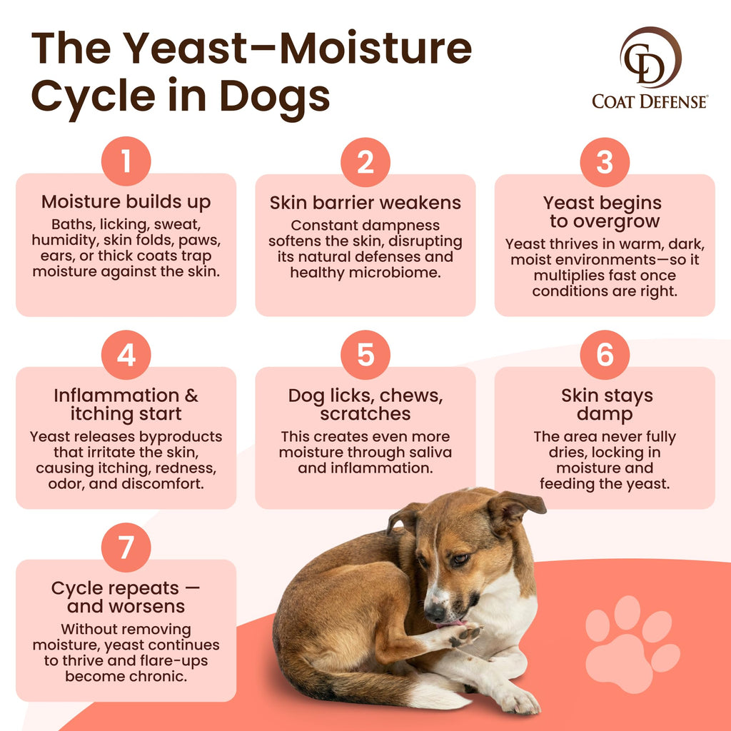 Daily Preventative Powder & Shampoo for Dogs Q63420