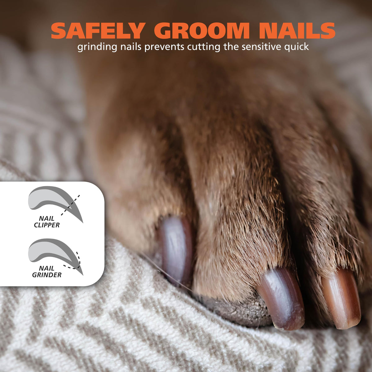Dog Nail Grinder Replacement Accessory Kit, 8 Pieces N90084