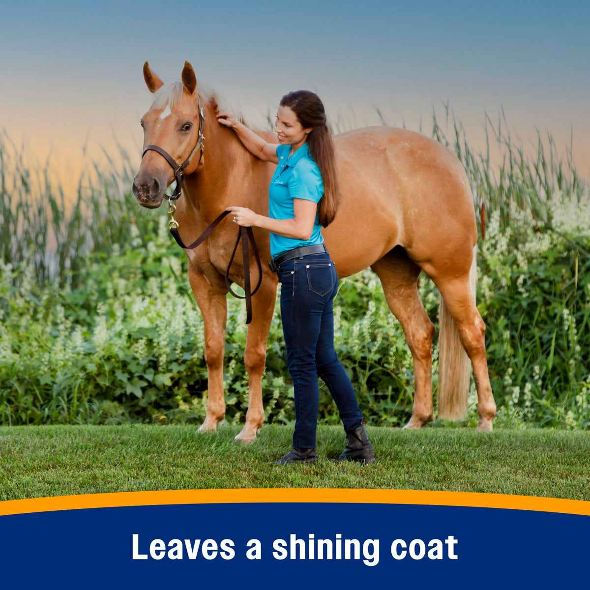 128 oz Horse Fly Spray and Coat Conditioner E786638