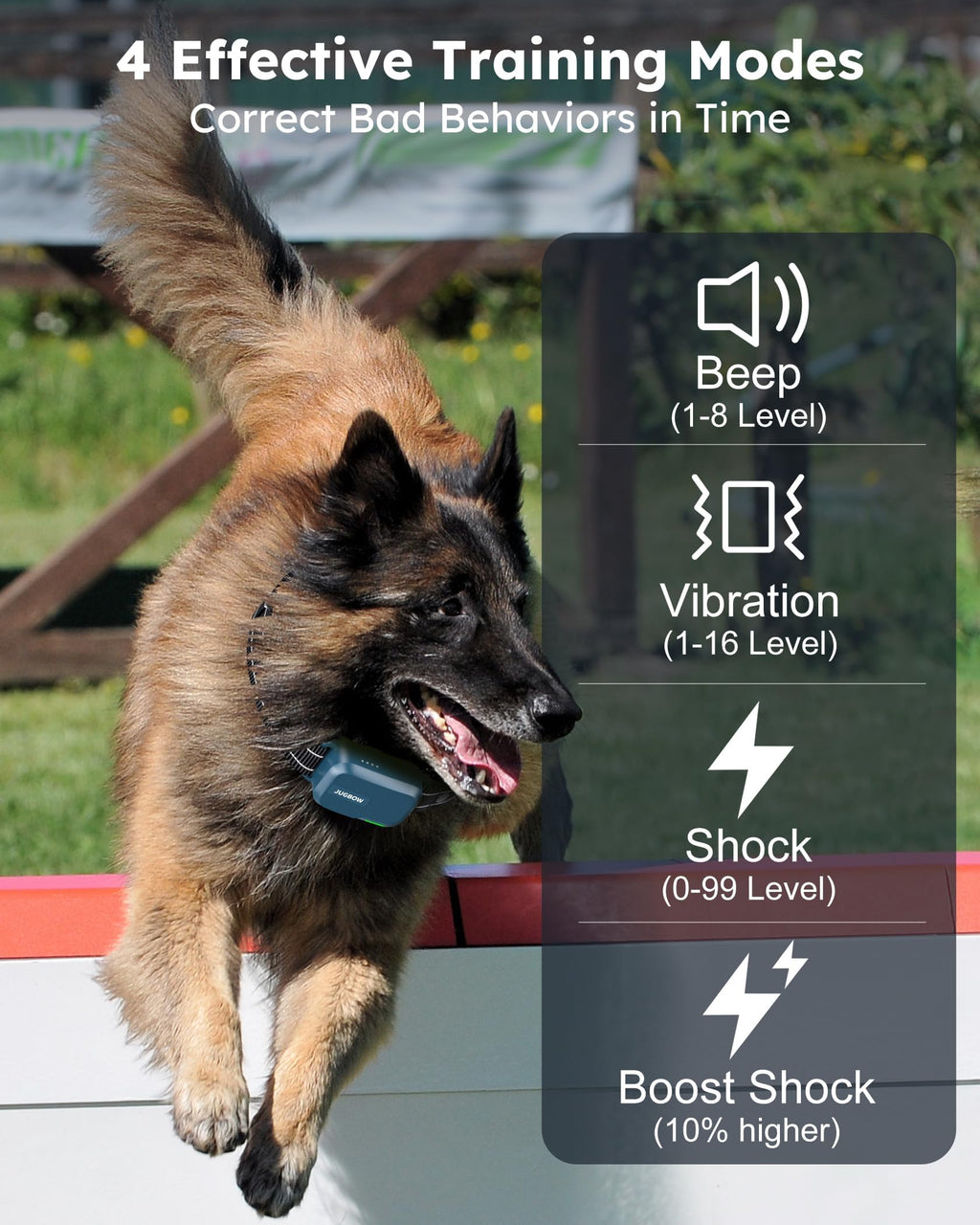 Dog Shock Collar with Remote U66670