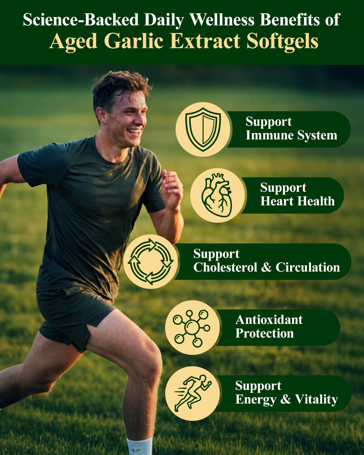 Odorless Garlic Supplement, 300 Softgels H14449