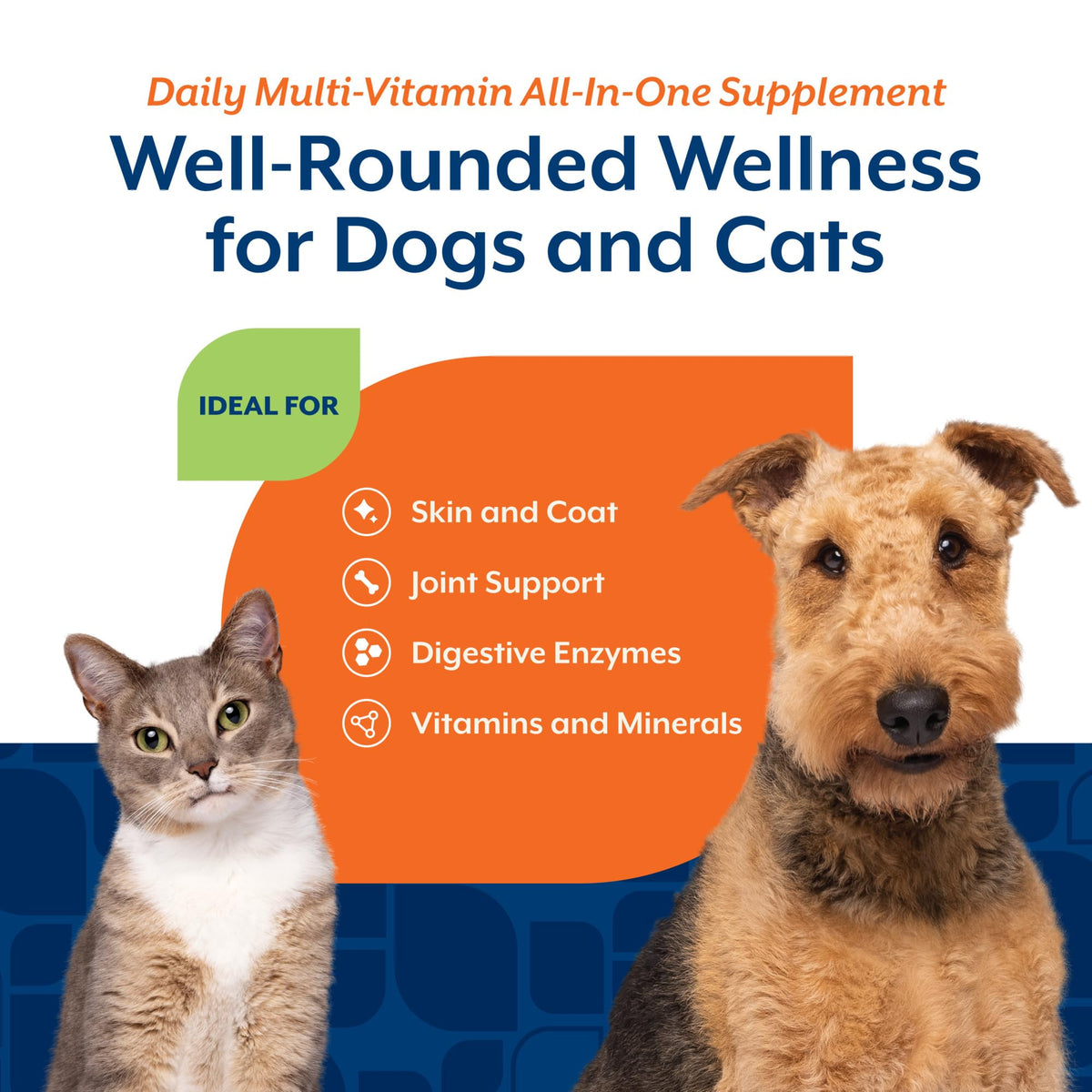 Cat & Dog Daily Multivitamin 13 Oz Powder Q5166