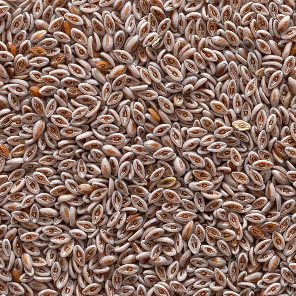 Organic Whole Psyllium Seed 1lb T93915