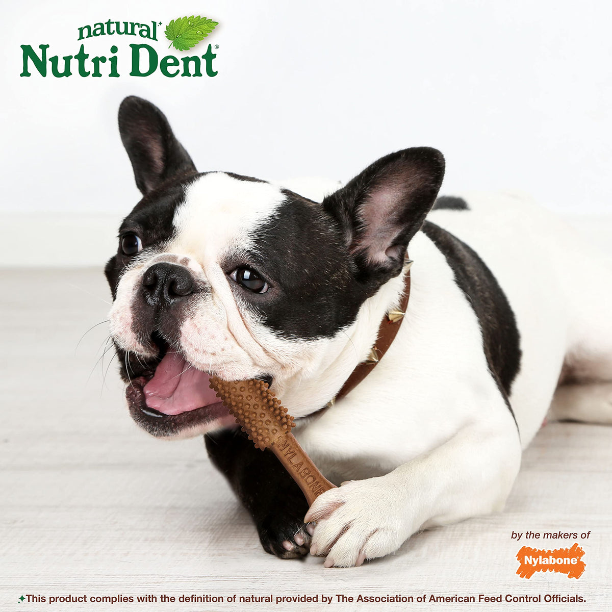 Filet Mignon Flavor Dog Dental Treats 40 Count V982813