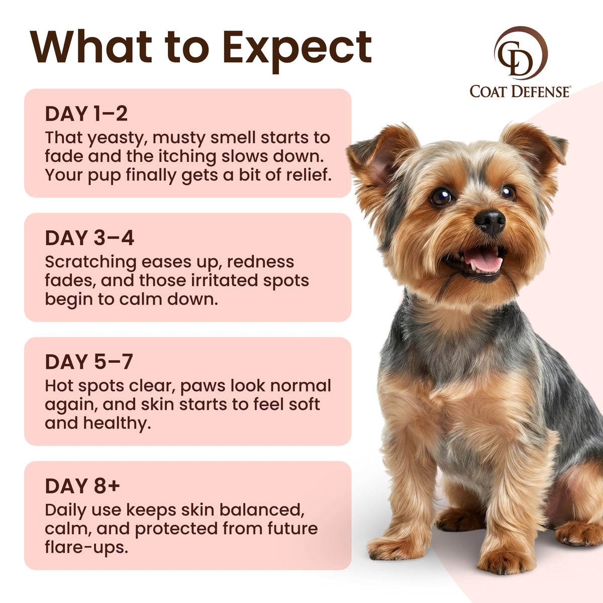 Daily Preventative Powder & Shampoo for Dogs Q63420