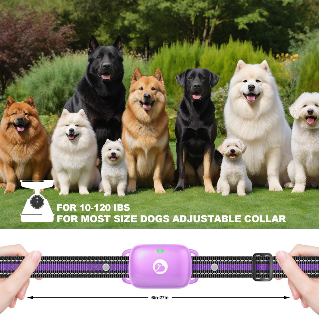 Dog Training Collar with Remote Purple I691