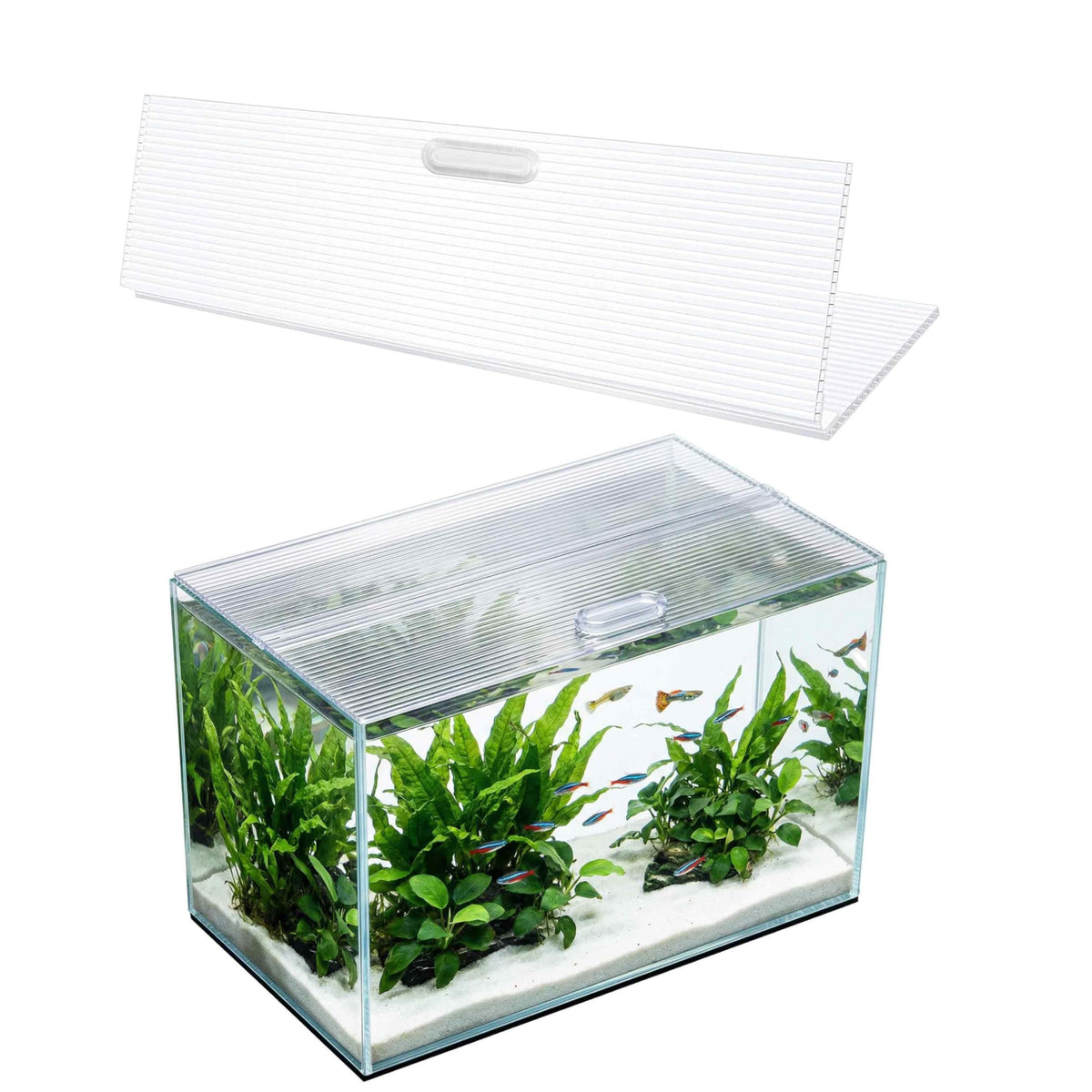 Clear Polycarbonate Aquarium Lid A631528