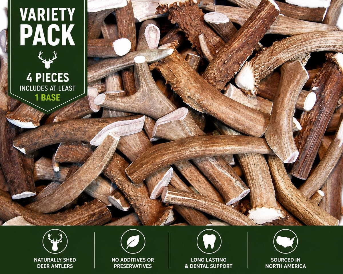 Deer Antler Dog Chews One Pound F64411
