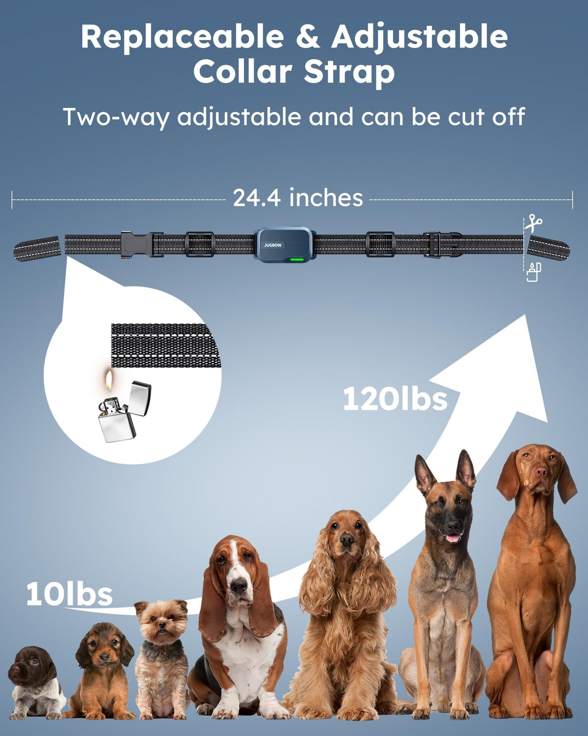 Dog Shock Collar with Remote U66670