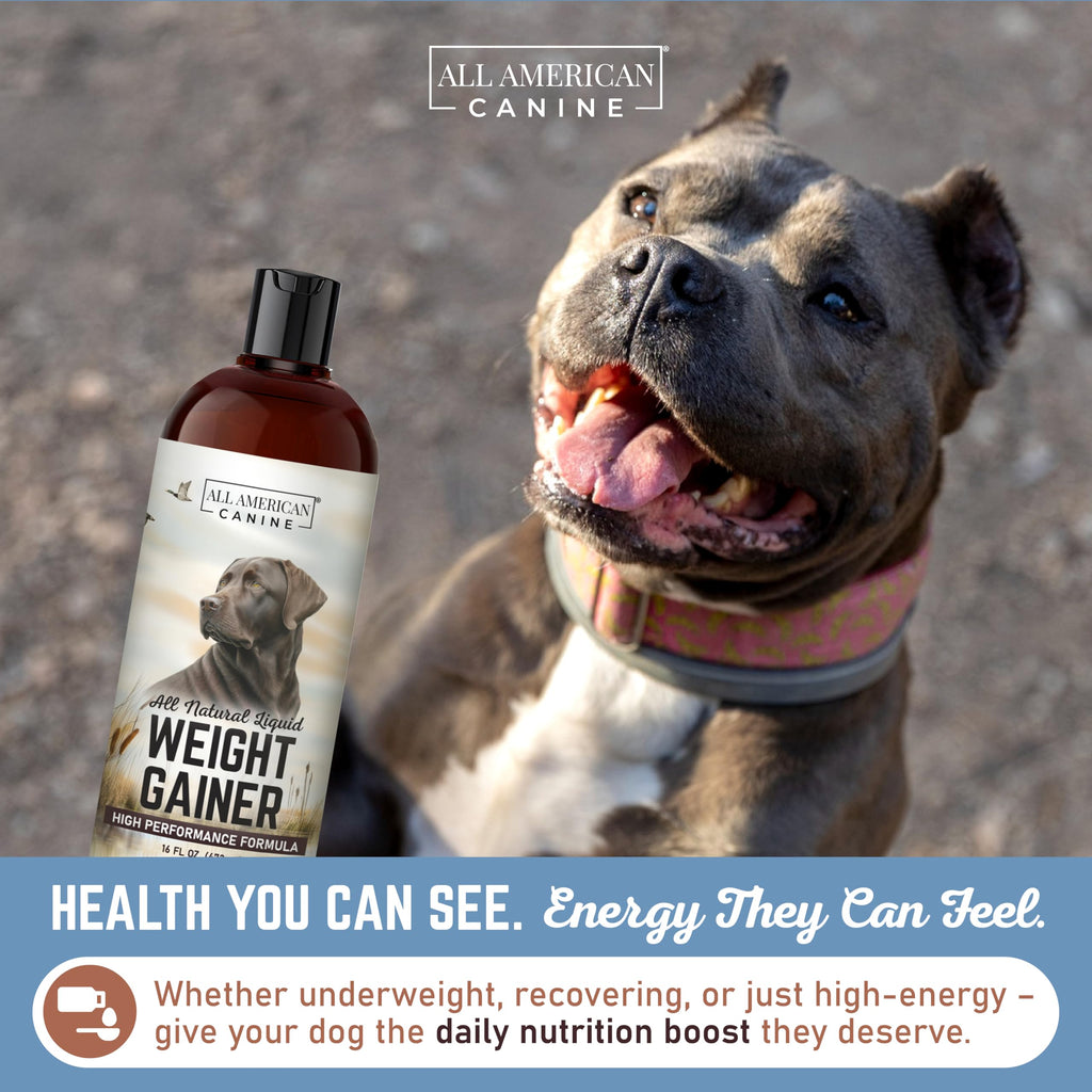 High Calorie Dog Weight Gainer Liquid 16 oz N1866