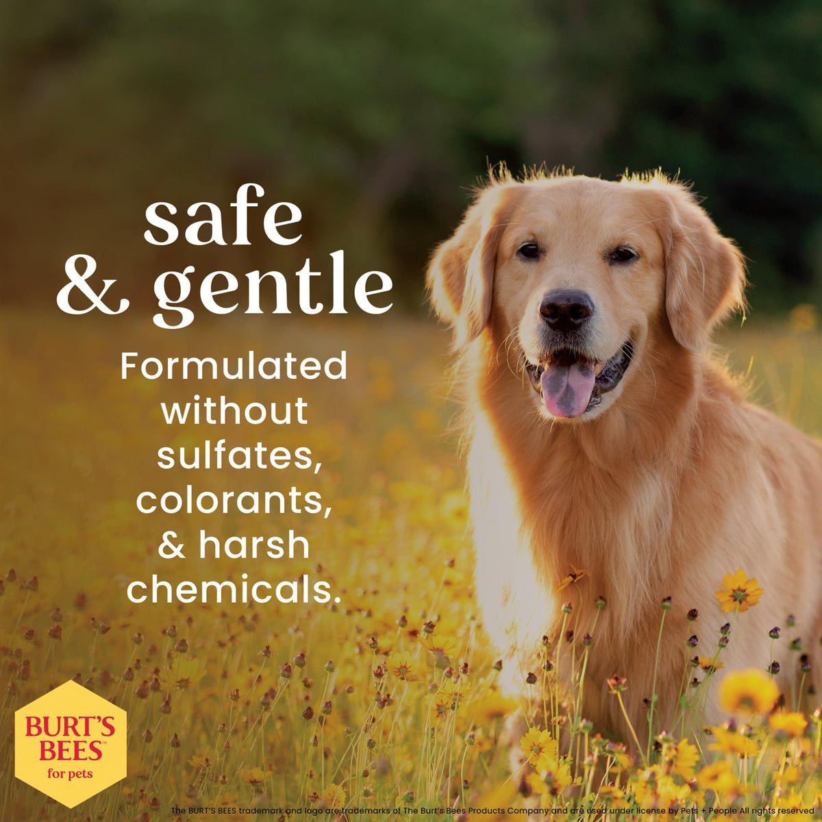 Dog Detangling Spray with Lemon & Linseed 10 Fl Oz L360986