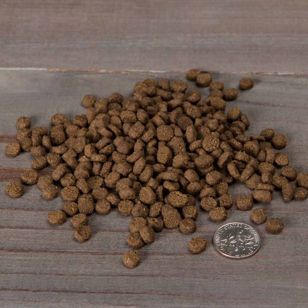 Grain Free Dry Cat Food With Probiotic Duck & Lentils Recipe 12Lb Bag C3330