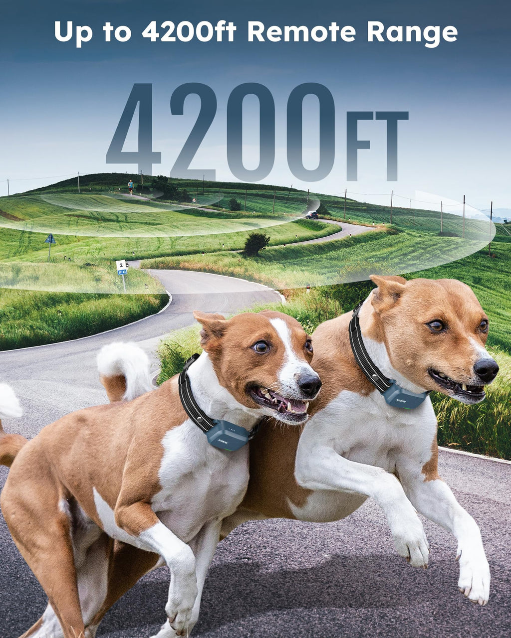 Dog Shock Collar with Remote U66670